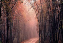 河床旧将:德布劳内是真正的明星,河床应该尝试签下他.