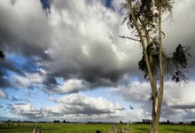 那波利丢分仍领跑意甲 罗马本季第二次换帅.