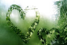 [CBA]常规赛3月25日：南京VS北京 赵柏清集锦.