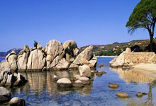 雷速体育官网:盛李豪荣登“中国好人榜”!苏州日报.